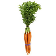 Fresh Organic Carrots