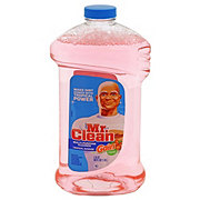 Mr Clean Tropical Sunrise Gain Multi Purpose Cleaner Shop