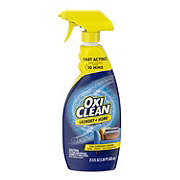 Spray 'N Wash Laundry Stain Remover (60 oz)