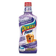 prosense dog toothpaste
