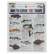 Saltwater Fish Picture Chart