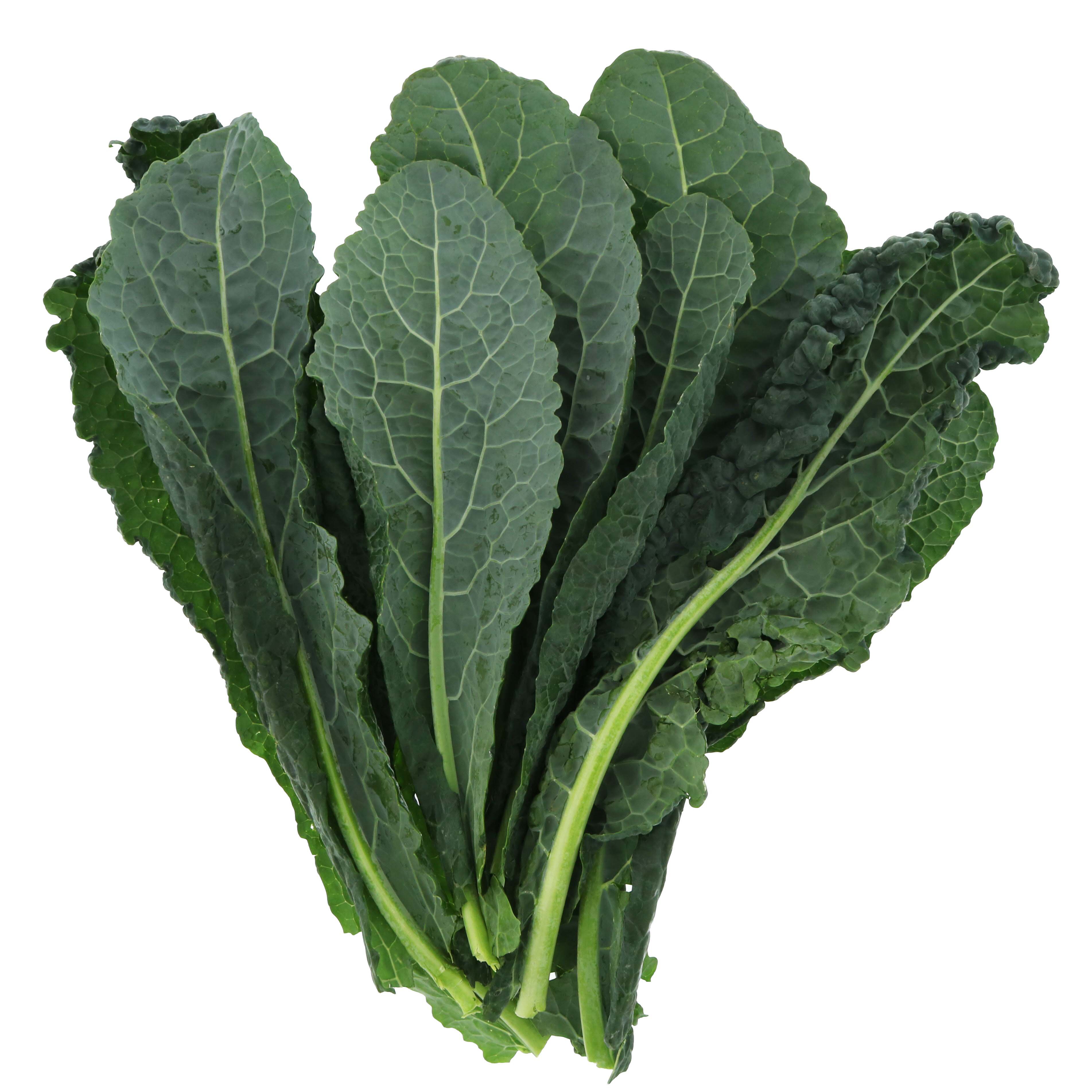 Kale, Lacinato