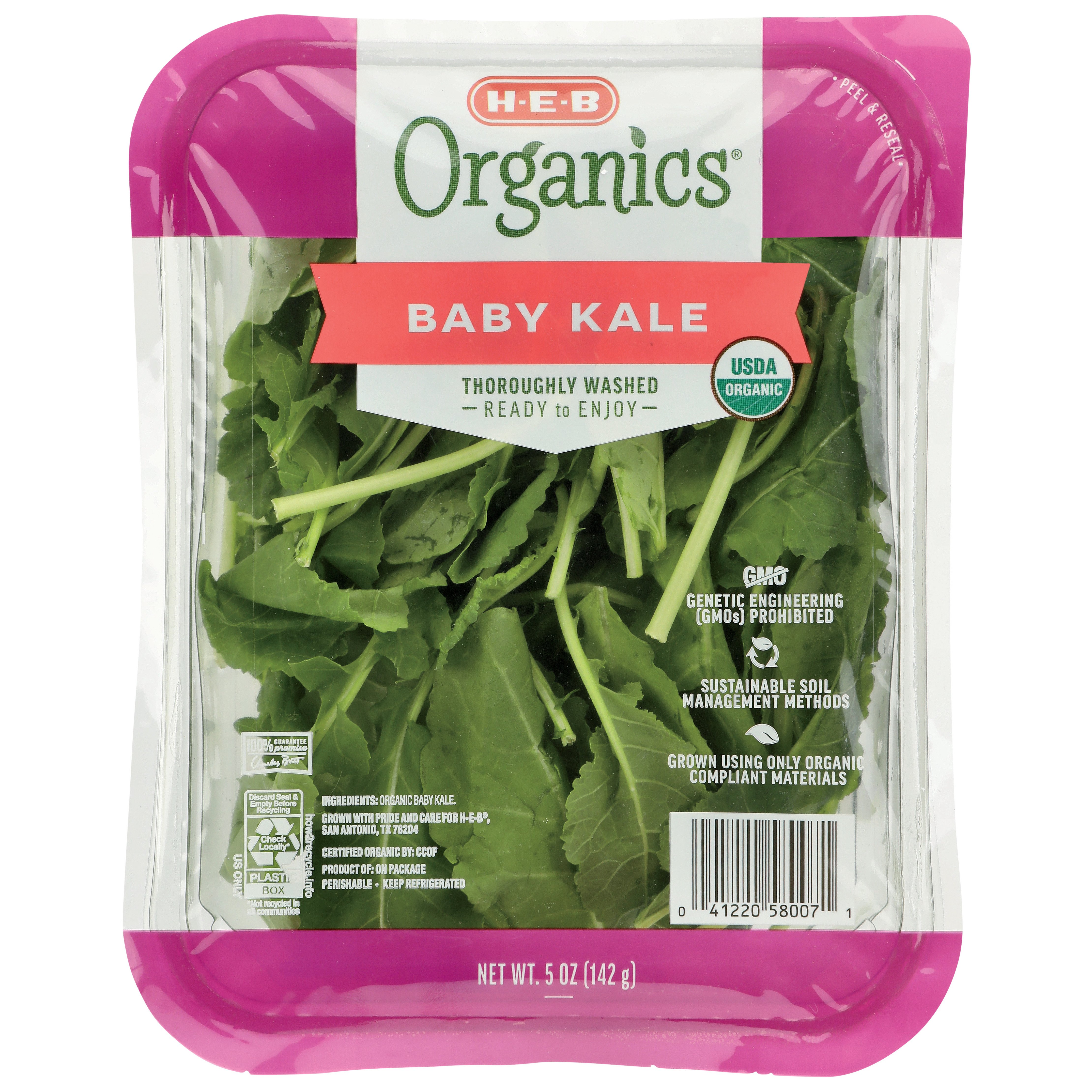 Fresh Organic Kale