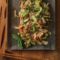 Asian Chicken Slaw